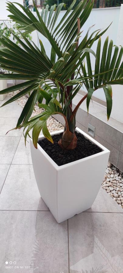 Appartamento Luxury Townhouse Costa Adeje  Esterno foto